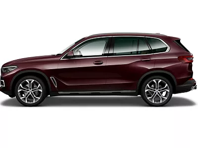 BMW X5 xDrive30d 210 kW automat Ametrin metallic