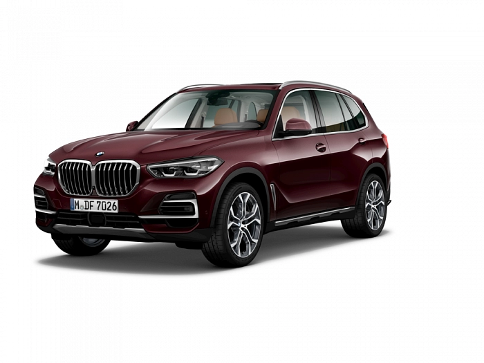 BMW X5 xDrive30d 210 kW automat Ametrin metallic